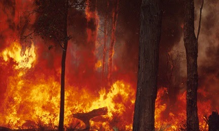 bushfires_Assoc-new-5-3
